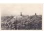 KŘEMEŠNÍK = PELHŘIMOV /GRAFO ČUDA /rok1933?*kc10837