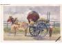 KŮŇ A BRYČKA /rok1920?*kc10906