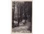 ŠUMAVA =ČESKÁ KUBICE=nakl.RYBAŘÍK =rok1935?*kc11228