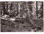 ŠUMAVA BOUBÍNSKÝ PRALES ORBIS ***751J