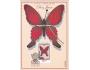 CARTES MAXIMUM=MOTYL=rok2003*UF8514