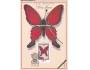 CARTES MAXIMUM=MOTYL=rok2003*UF8515