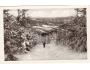 BESKYDY=RADHOŠT=CESTA KE SKALIKOVÉ LOUCE=rok1945*AA10550