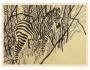 Boris Nosek: Zebra - Dvoubarevná litografie