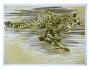 Boris Nosek: Gepard v trysku - Dvoubarevná litografie