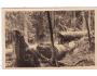 ŠUMAVA =PRALES BOUBÍN=rok1950*kc15209