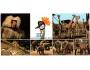 ZOO DVŮR KRÁLOVÉ PAVIÁN, ŽIRAFY PRESSFOTO 220x105 °45963