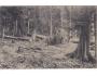 PRALES BOUBÍN=ŠUMAVA=rok1930?*kc15601