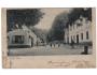 OSOV VELKÝ VOSOV NAKL.M. POKORNÁ r.1900 DA °41660