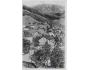 PEC POD SNĚŽKOU /KRKONOŠE /r.1930 /M304-167