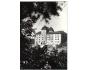 MLADÁ BOLESLAV - HRAD - PRESSFOTO °41140