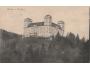 RAČICE U VYŠKOVA ZÁMEK r. 1920 BEZ NAKL. °HE605