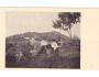 PODKARPATSKÁ RUS=KROJE=HŘBITOV PAROŠKOV=rok1925*R2838