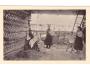 PODKARPATSKÁ RUS=KROJE=VYŠIVAČKY=rok1930*R2867