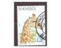 Namibie - žirafa