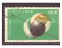Ecuador - kosmos