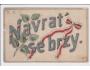 NAVRAŤ SE BRZY TATINKU=rok.1914*R4676