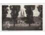 Praha Vyšehrad Vltava r.1928 MF °3824
