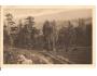 POD SNĚŽKOU / KRKONOŠE /rok1920*kb1290