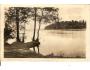 RYBNÍK VELKÉ DÁŘKO / NOVÉ MĚSTO n.MORAVĚ /rok1950*kb1322
