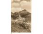 MALÁ FATRA / VRÁTNÁ DOLINA /rok1950 *OB467