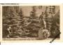 KLADNO /rok1950 *OB537