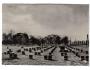 Terezín národní hřbitov u  krematoria okr. Litoměřice °0735o