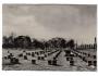 Terezín národní hřbitov u krematoria okr. Litoměřice °0735o