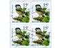 Belgie o Mi.2747-čtyřblok Fauna - ptáci - sýkora