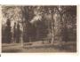 POLITZ A.D.ELBE = BOLETICE NAD LABEM =PARK/rok 1930?*ka1553