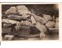 ZVIČINA +MASARYKOVA STUDÁNKA/DVŮR KRÁLOVÉ /rok 1933?*ka1557