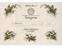 Telegram 1952 ozdobný svatební odeslaný z Mikulova
