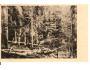 BOUBIN = ŠUMAVA /rok1947?*AA4487