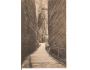ADRŠPACH = SKALNÍ ROKLE /rok1917?*AA4672