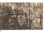 LIBĚCHOV =HARFENICE = MĚLNÍK /rok1919?*AA4704