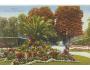PILLNITZ = V PARKU /rok1915?*bf2326