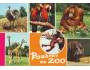 Nandu palmový, ara, orangutan, žirafy, hroch, barevná pohled