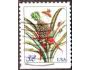 USA 1997 Květiny, ananasovník, Michel č.2807 BD d raz.