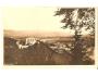 BOSKOVICE / r.1917 /M183-104
