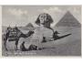 Egypt - Pyramidy, velbloudi