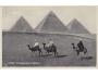 Egypt - Pyramidy, velbloudi