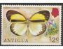Antigua *Mi.0381 fauna - motýl /kot