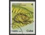 Kuba o Mi.2289 Fauna - rosnička /kot