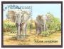 Benin - slon, sloni