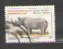 South Africa - fauna, nosorožec