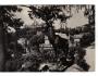 KARLOVY VARY - JELEN - RICHMOND - ORBIS °39310