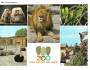 PAVIÁN - LEV - PŠTR. ZOO DVŮR KRÁLOVÉ - PRESSFOTO *** 39569