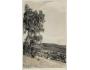 KARLOVICE VE SLEZSKU /r.1950 /M331-46