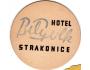 Strakonice - hotel Bílý vlk