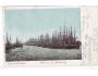 LODĚ=PŘÍSTAV HAMBURK=rok1900*R3340